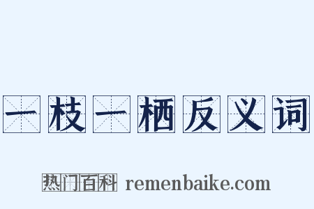 一枝一栖反义词是什么意思的图片